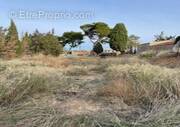 Terrain à RIEUX-MINERVOIS