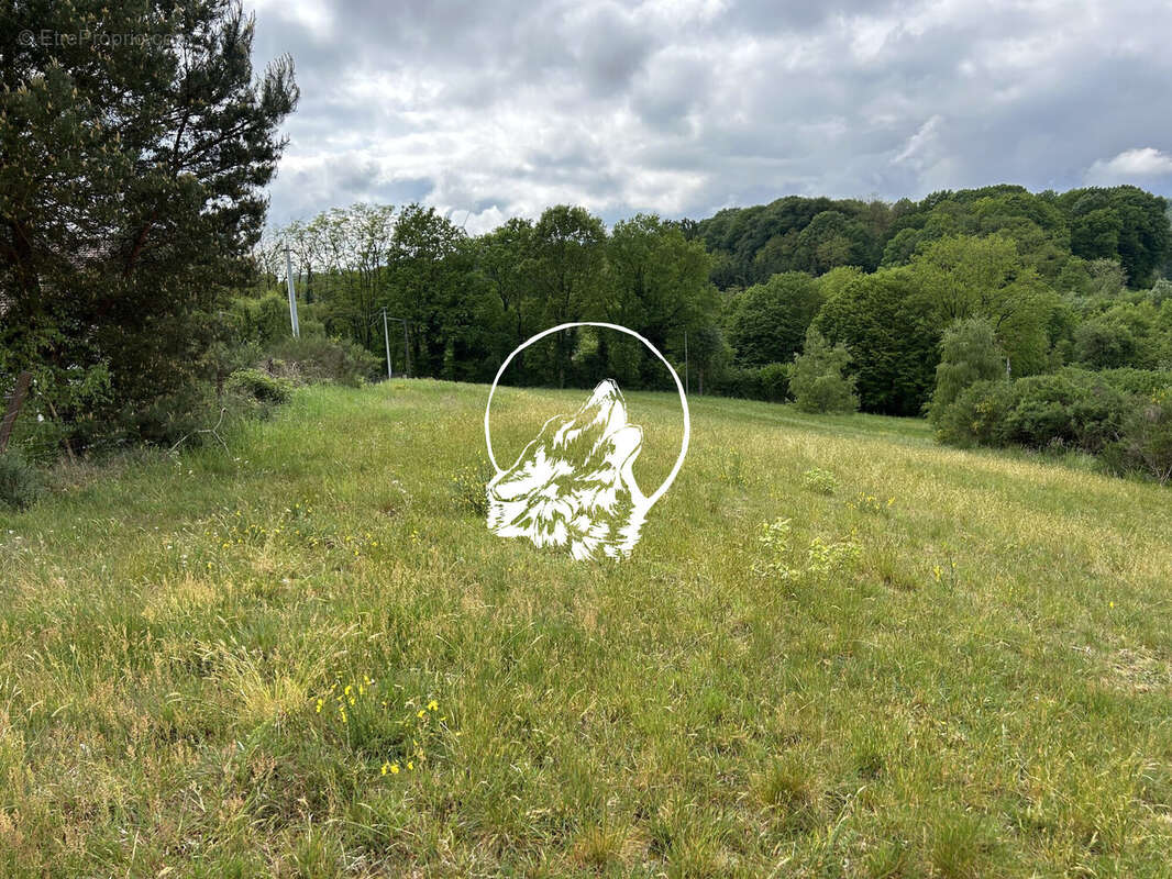 Terrain à LONGEVILLE-LES-SAINT-AVOLD