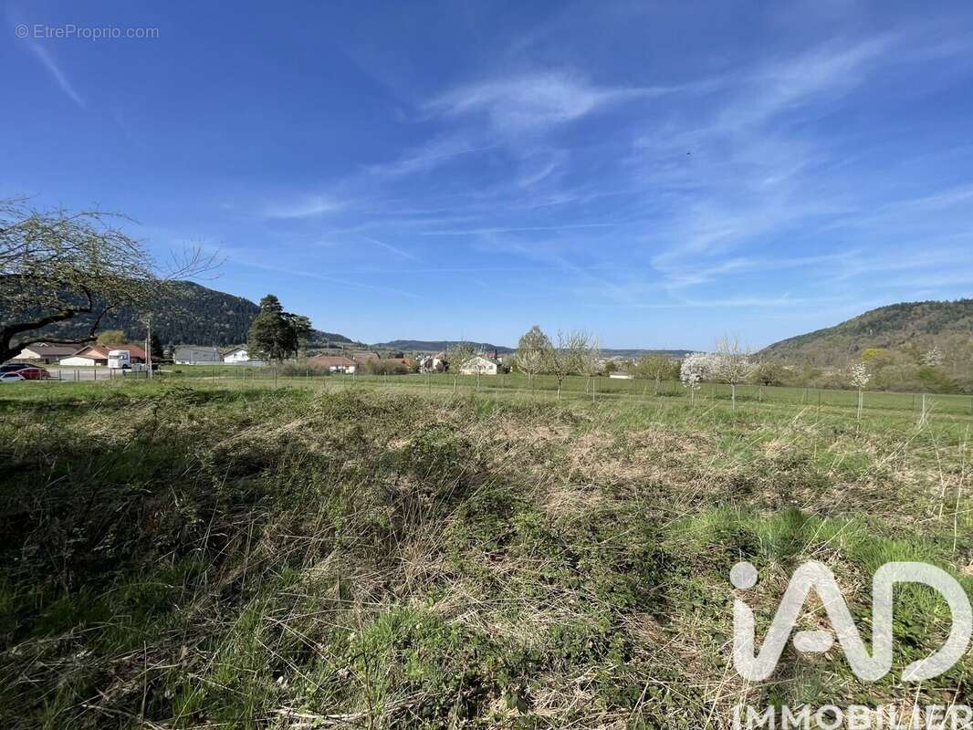 Photo 7 - Terrain à RAON-L'ETAPE