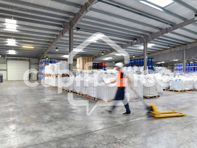 Commerce à CHATEAU-THIERRY