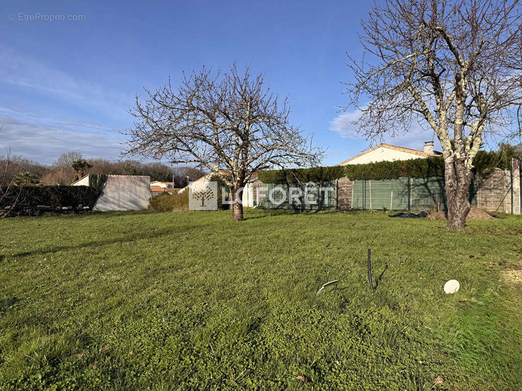 Terrain à SAINT-PALAIS-SUR-MER