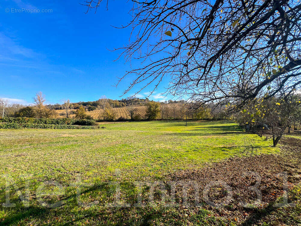 Terrain à PUYLAURENS