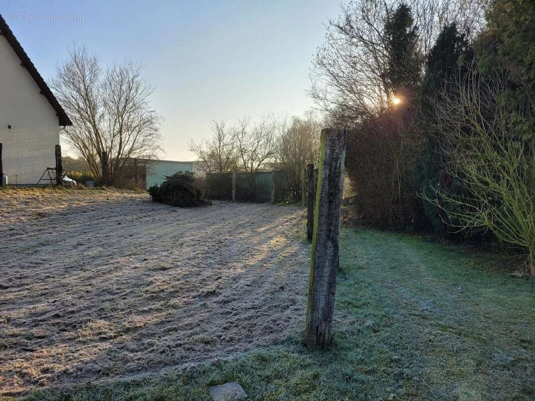 Terrain à BERTANGLES