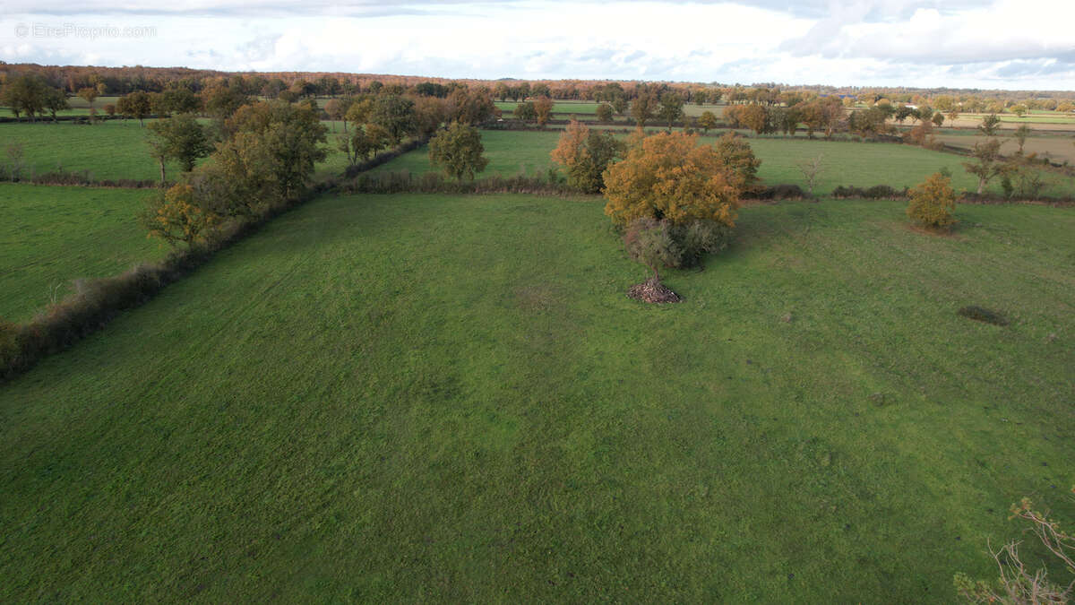 Maison à LA CHAPELAUDE