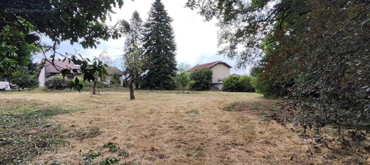 Photo 5 - Terrain à MONTROND-LES-BAINS