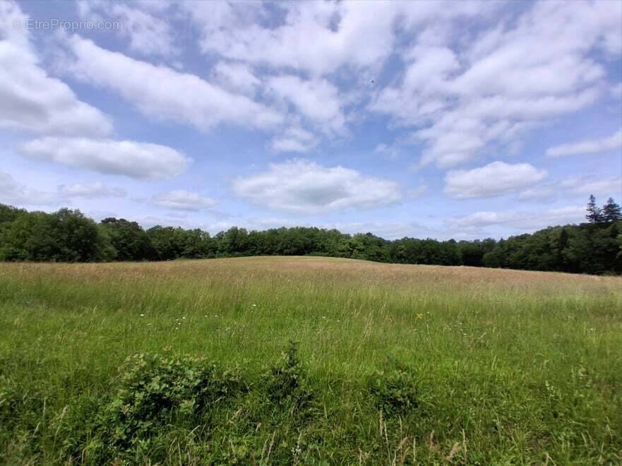 Terrain à DOUVILLE