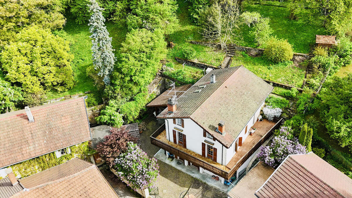 maison vue drone (7) - Maison à COLLONGES-SOUS-SALEVE