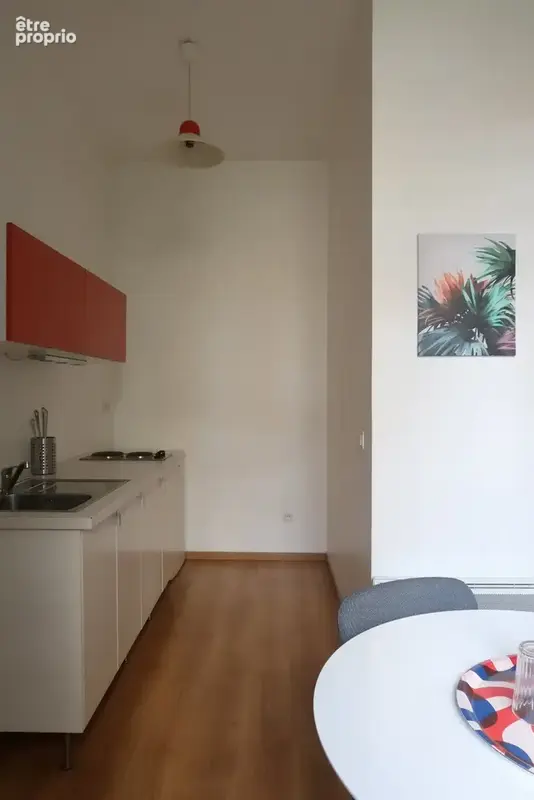 Appartement 1 pièce 30 m² à vendre à Saint-Etienne (42000) - photo 5