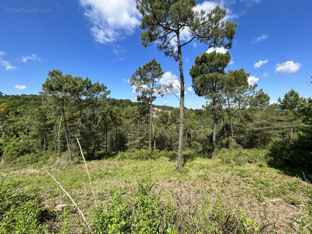 Terrain à COURSAC