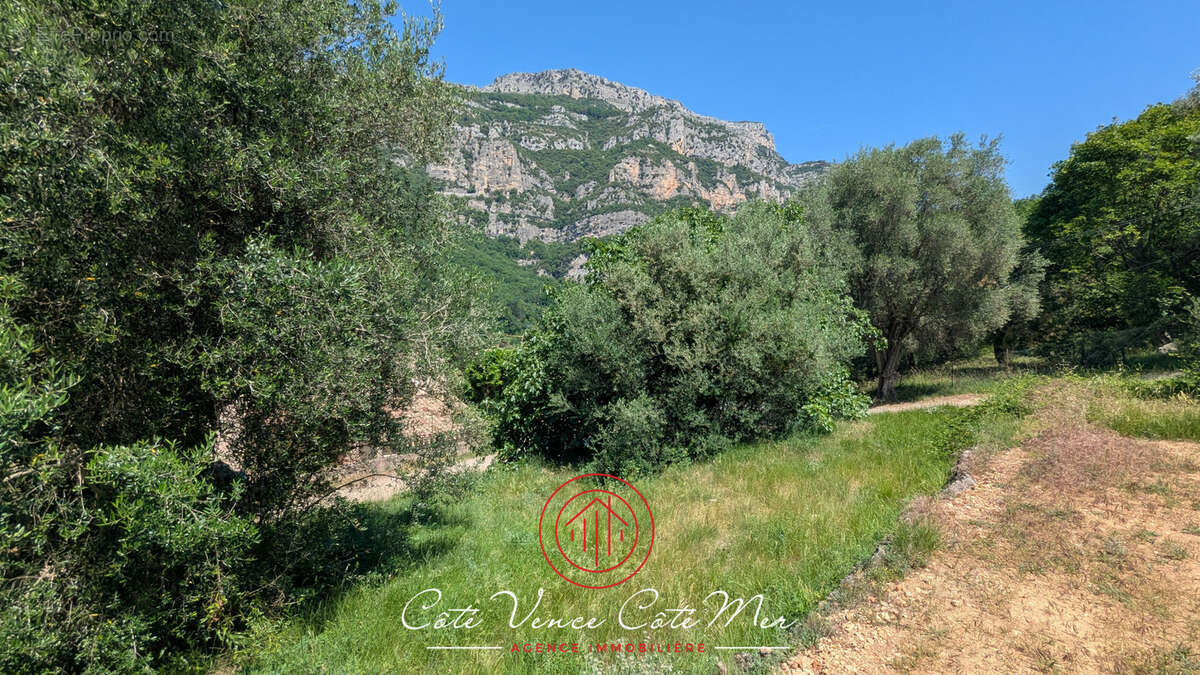 Terrain à TOURRETTES-SUR-LOUP