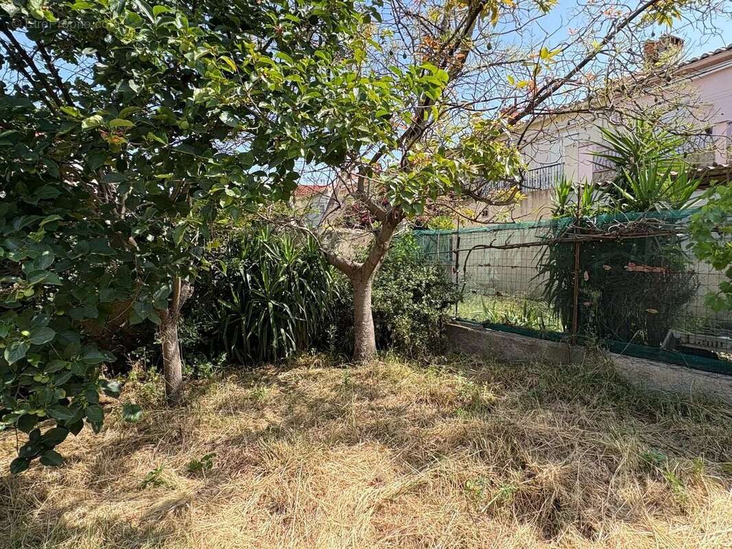 Vente Terrain Perpignan(66000) 167 000ï¿œ - photo 5