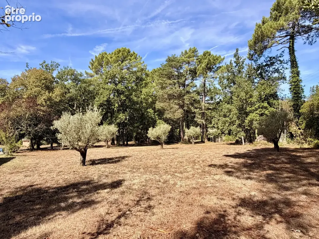 Élégante propriété avec villa principale, mazet en pierres et piscine - photo 5