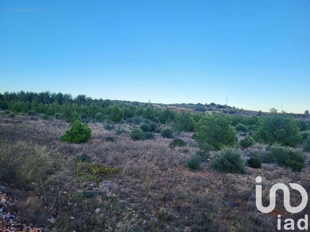 Photo 3 - Terrain à SALSES-LE-CHATEAU