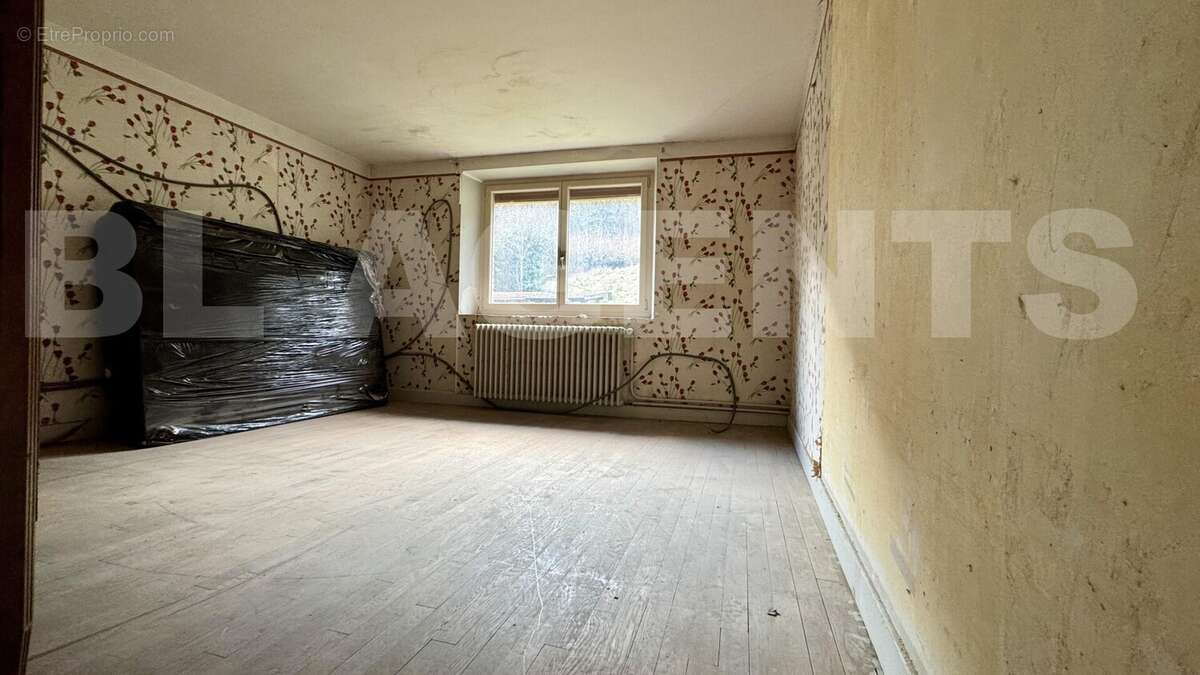 IMG_5179 - Maison à SAINT-AMAND-SUR-ORNAIN