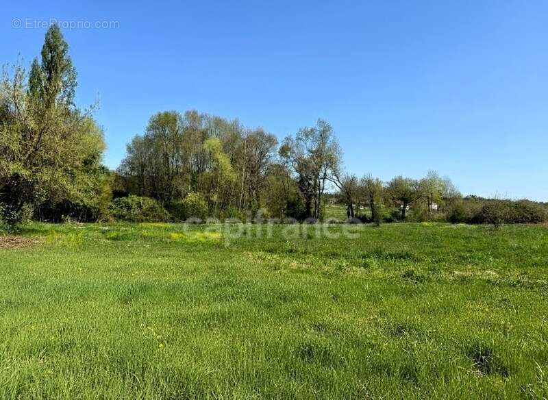 Maison à SAINT-PALAIS-DE-NEGRIGNAC