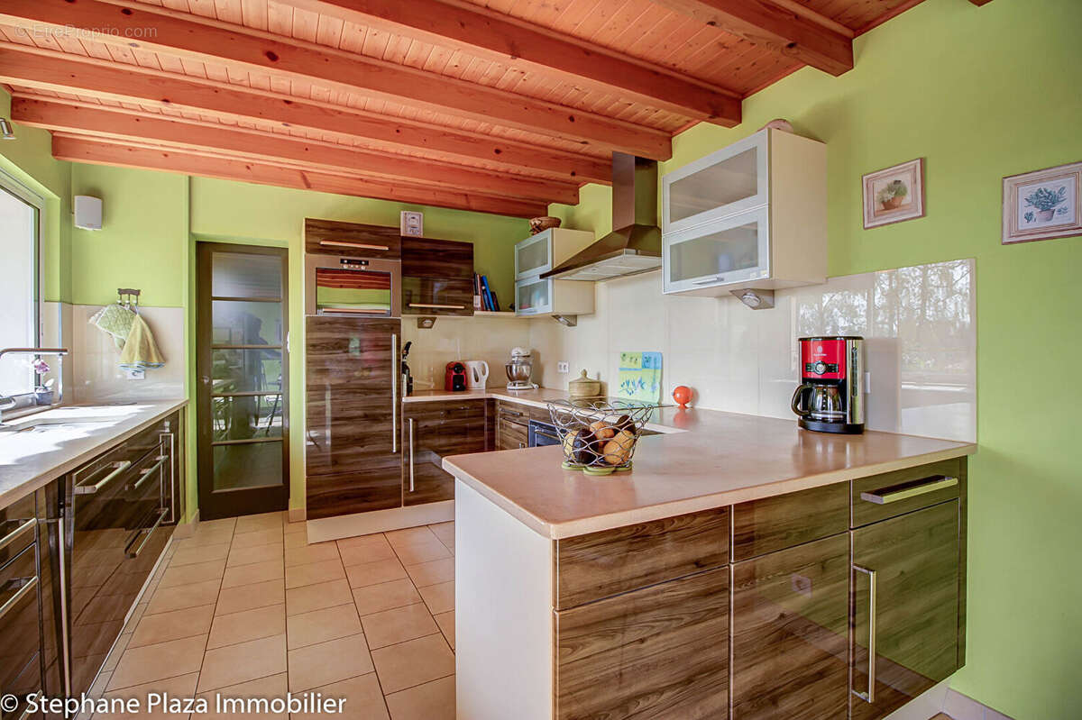 Maison à VILLIEU-LOYES-MOLLON