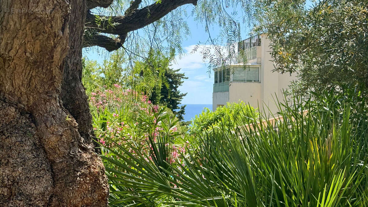 Maison à NICE