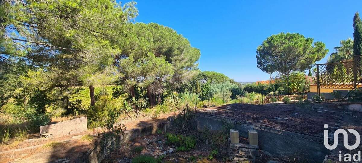 Photo 5 - Terrain à MONTESQUIEU-DES-ALBERES