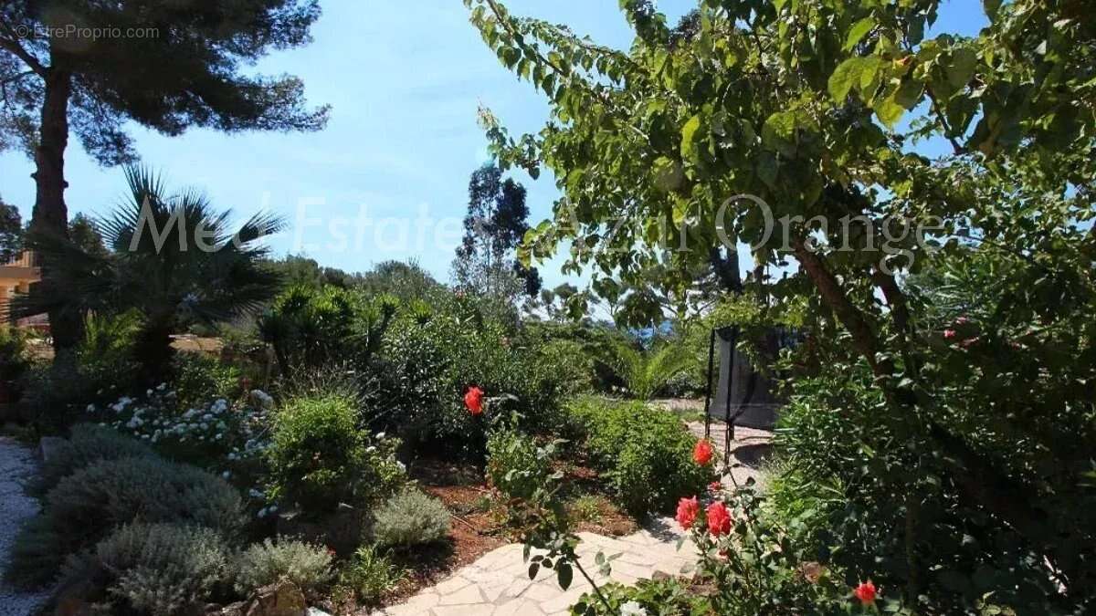 Maison à LA CROIX-VALMER