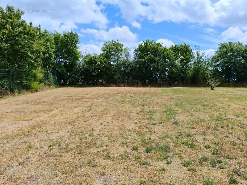 Plain-pied récent – Grand terrain de 2 160 m² – Sans vis-à-vis – 15 min Rochefort - photo 7