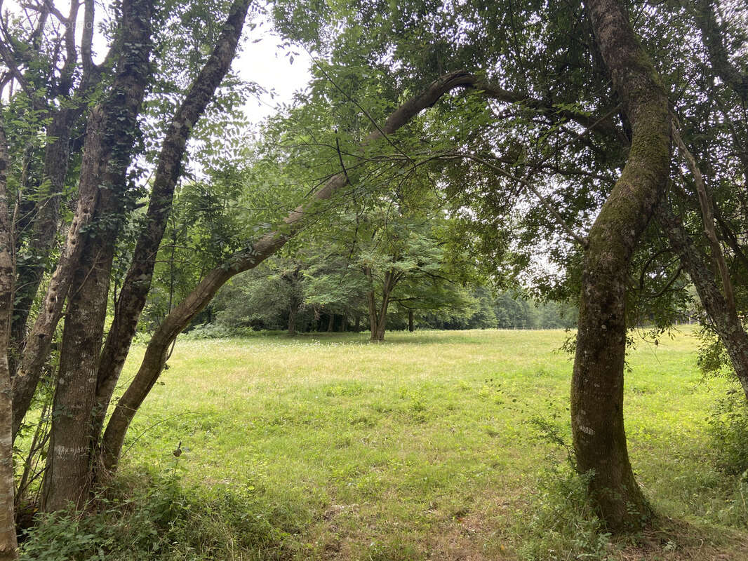 Terrain à LES SALLES-DE-CASTILLON