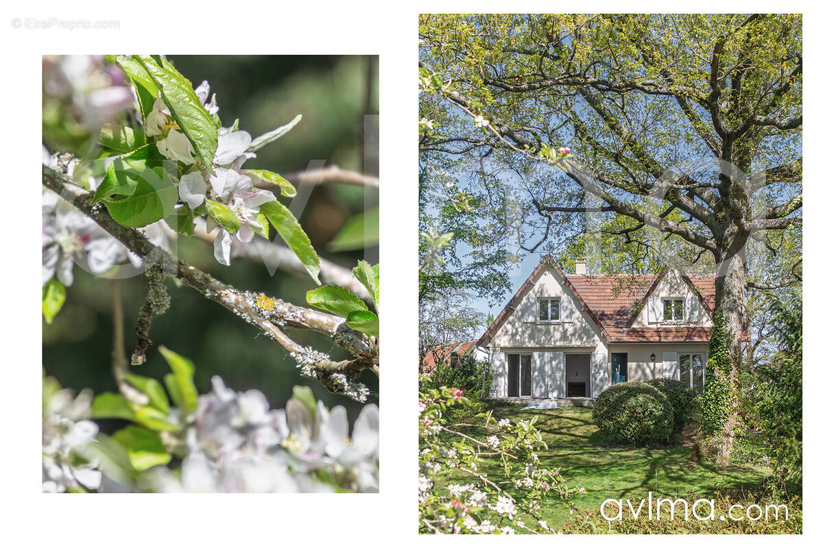 Maison à SAINT-NOM-LA-BRETECHE