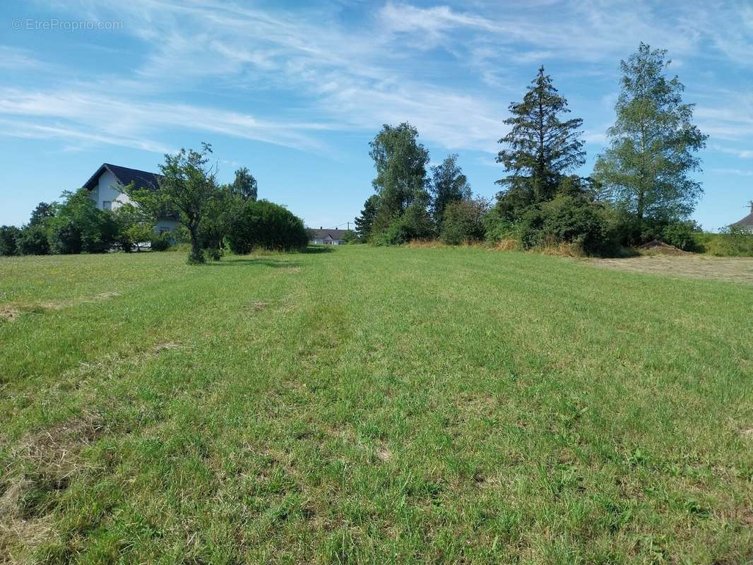 Terrain à ROHRBACH-LES-BITCHE
