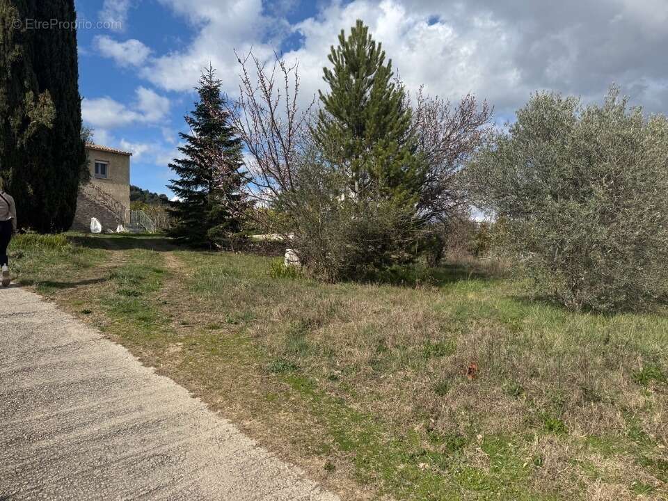 Terrain à VILLENEUVE