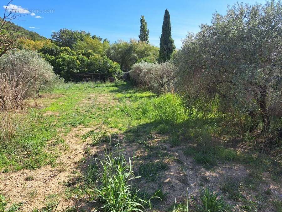 Terrain à VENTABREN