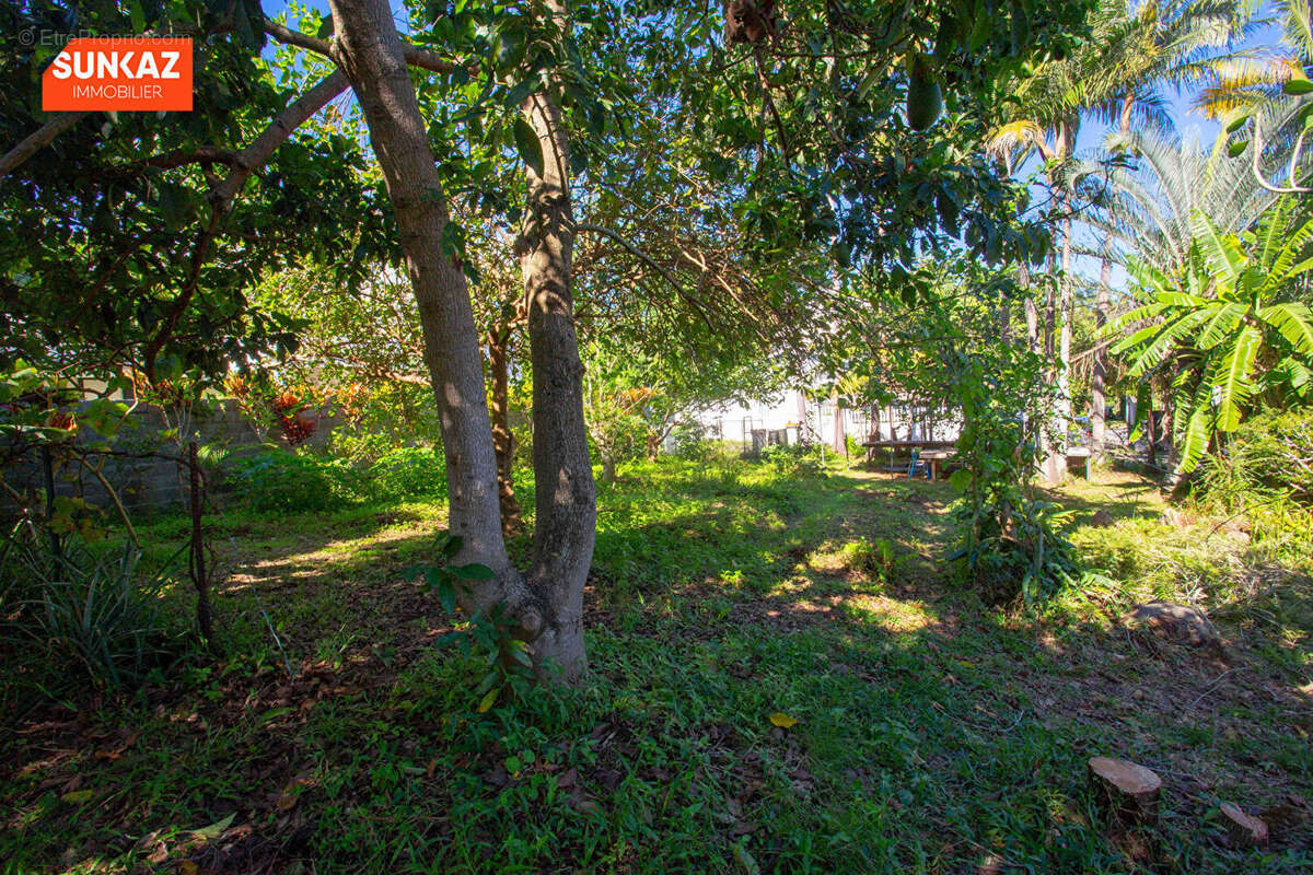 Terrain à LE TAMPON