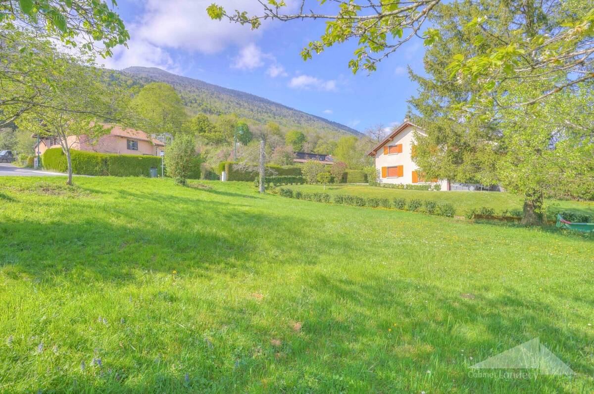 Terrain à ECHENEVEX