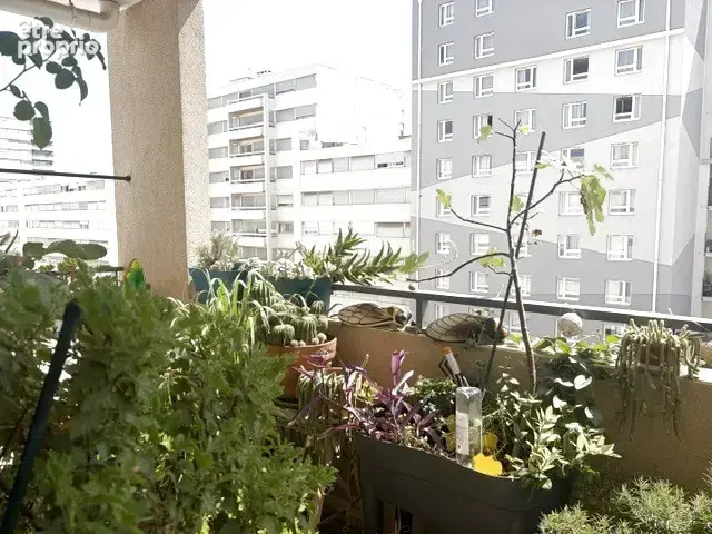 idéal investisseur ! - photo 6