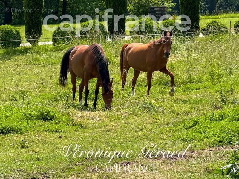 Maison à SALLEBOEUF