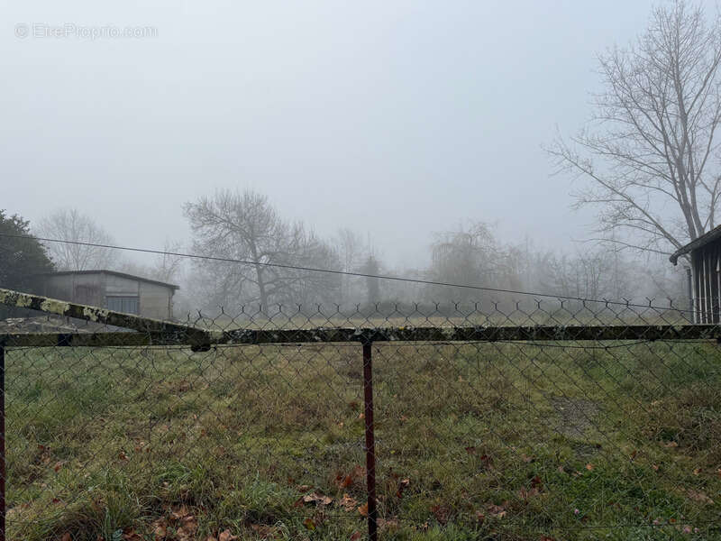 Commerce à PEYREHORADE