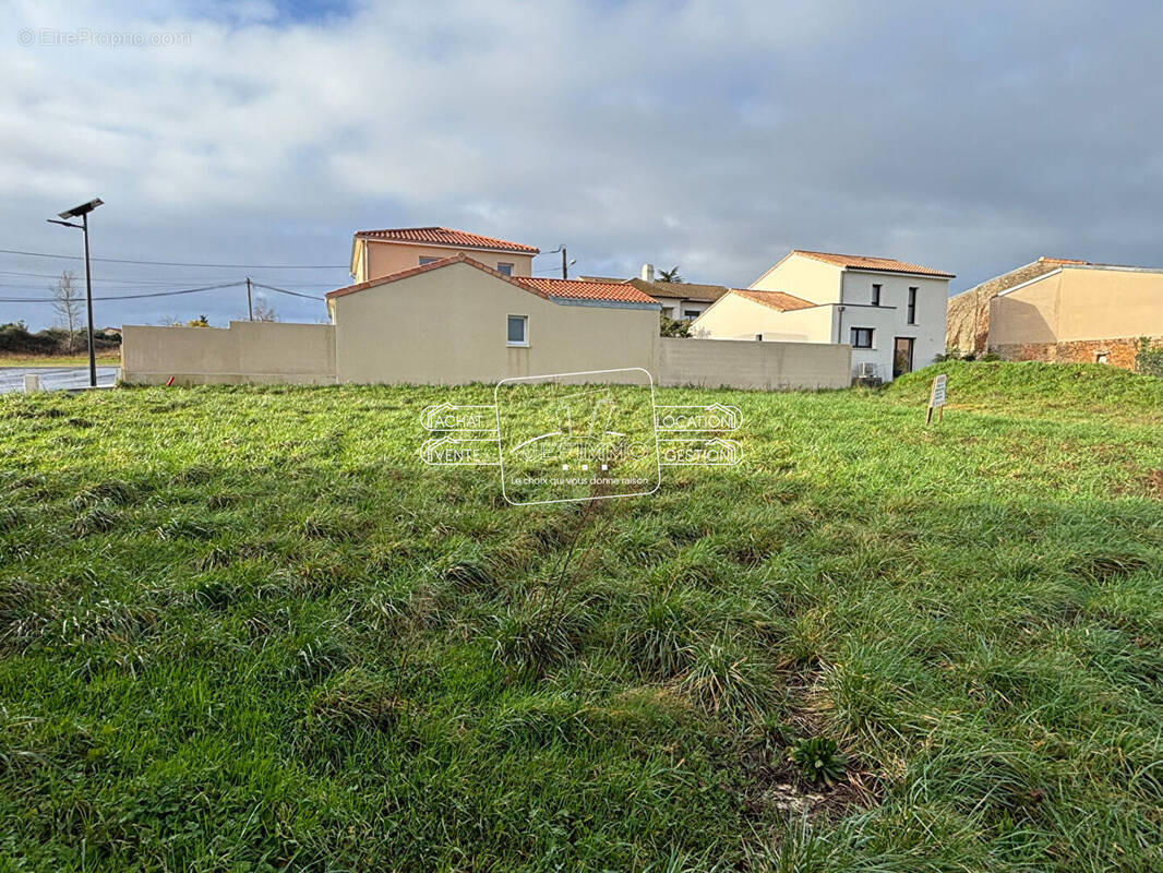 Terrain à CHAMPTOCEAUX