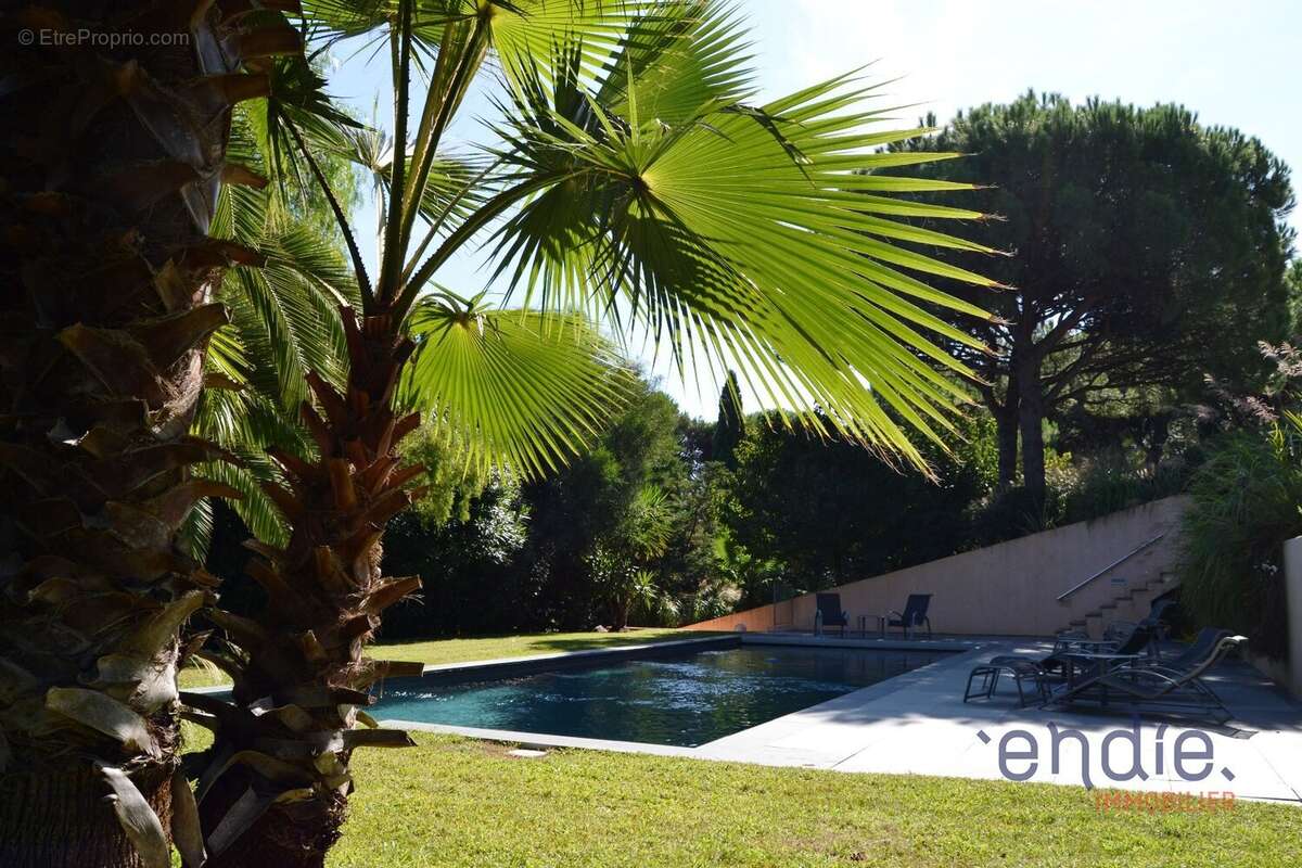 Maison à RAMATUELLE