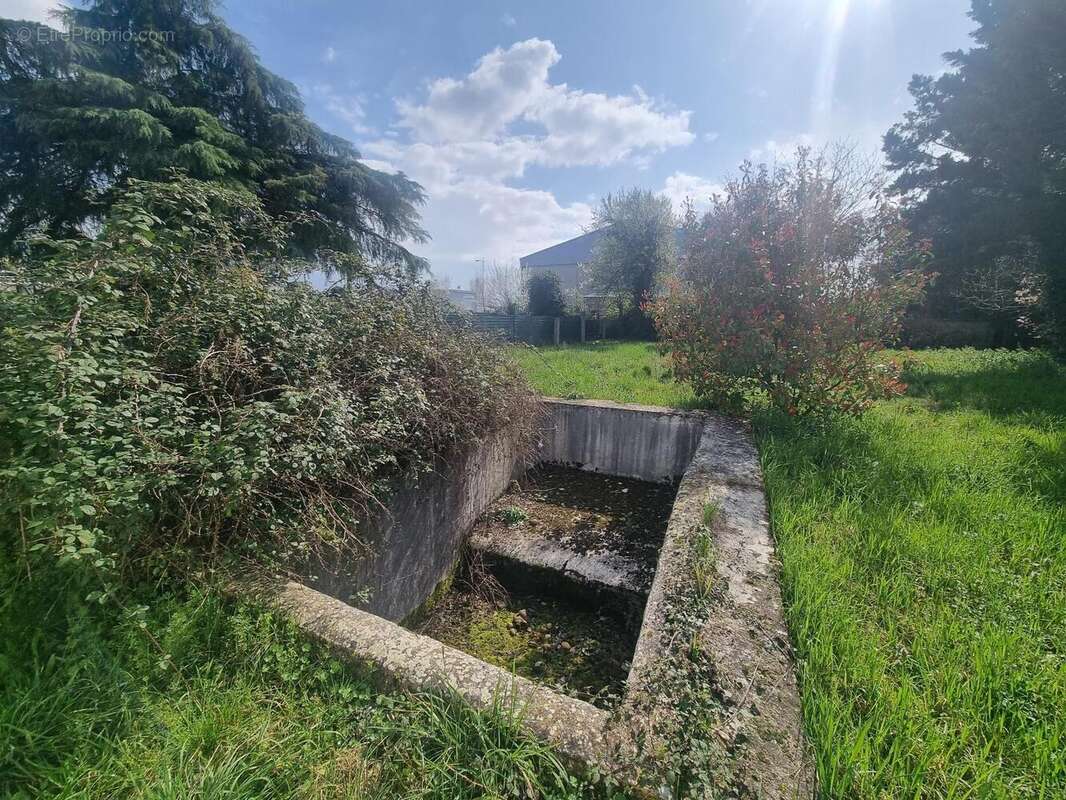 Photo 5 - Maison à MOURS-SAINT-EUSEBE