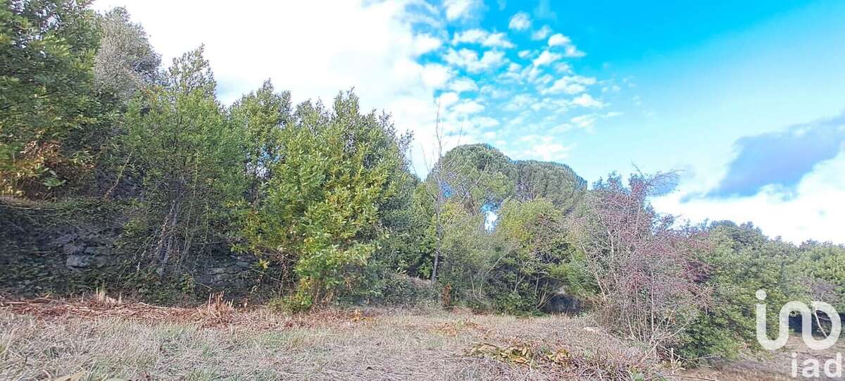 Photo 2 - Terrain à LODEVE