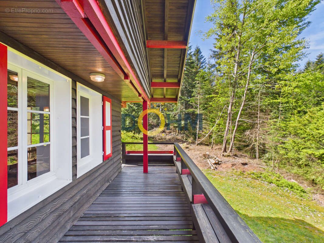 Chalet sur 7819 m2 de terrain + possibilite 15130 m2 en plus  . 155 m2 habitables - photo 10