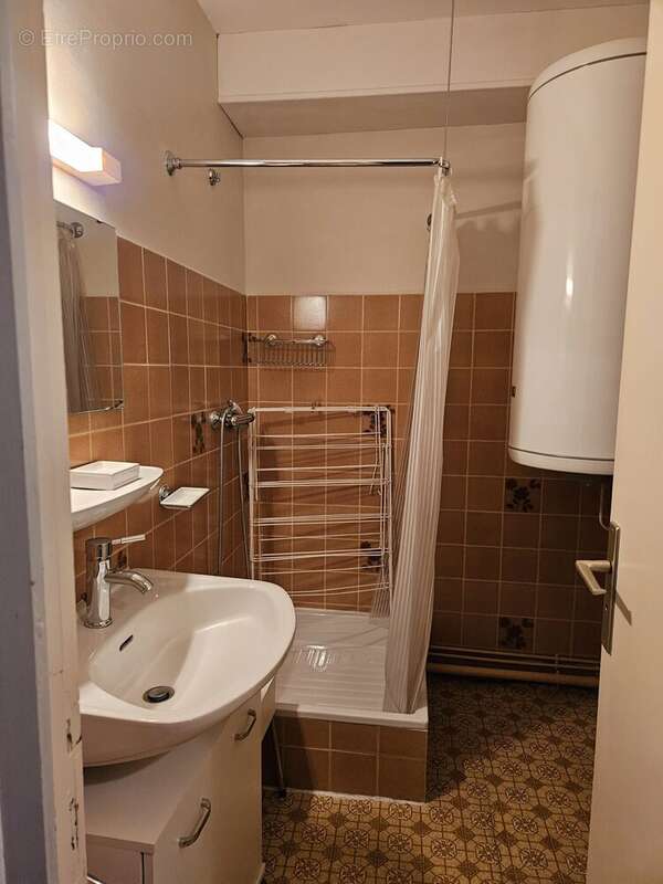 salle d'eau  - Appartement à SEYNE