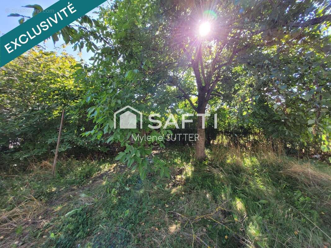 Photo 8 - Maison à CHARMES