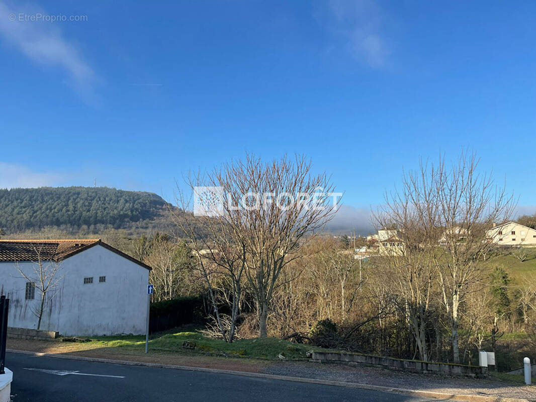 Terrain à LA ROCHE-VINEUSE