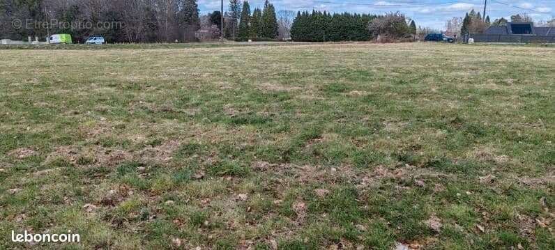 Terrain à CORREZE