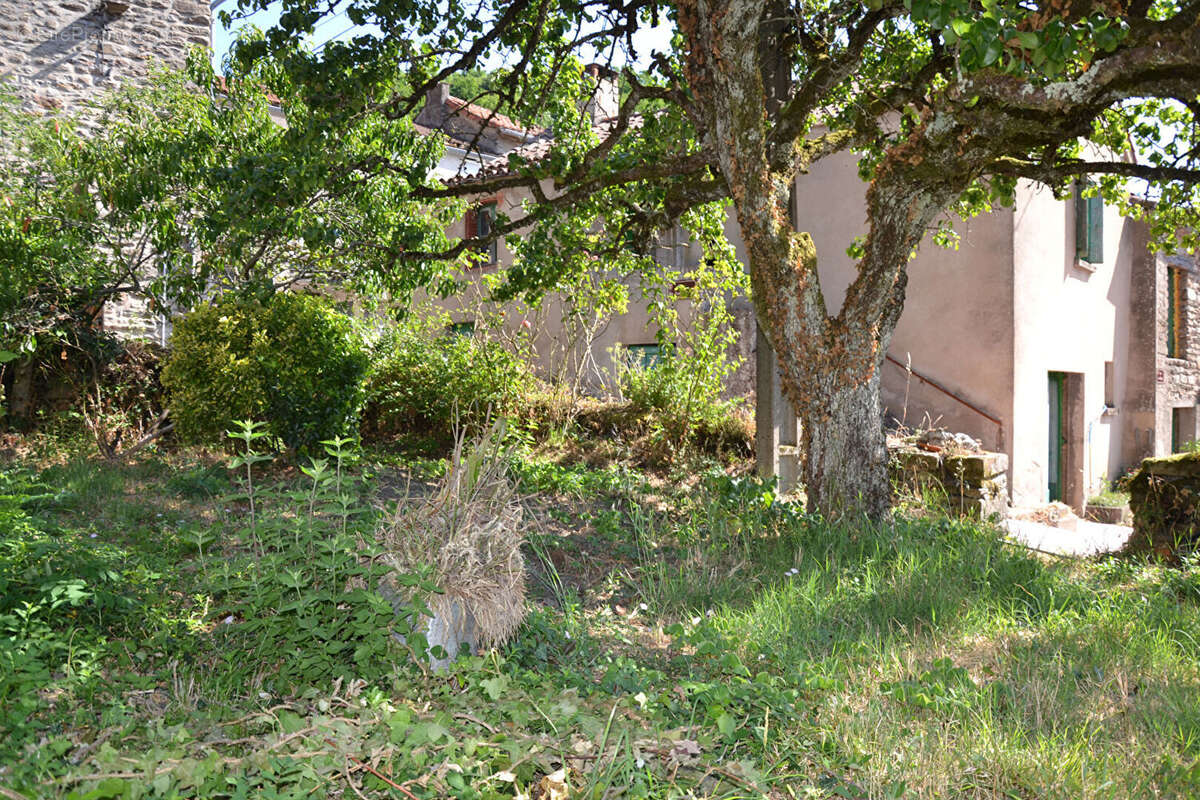 Courniou dans hameau Maison  ancienne avec joli jardin - photo 2