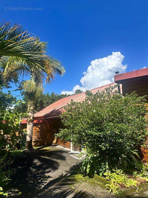 Maison à SAINTE-ROSE