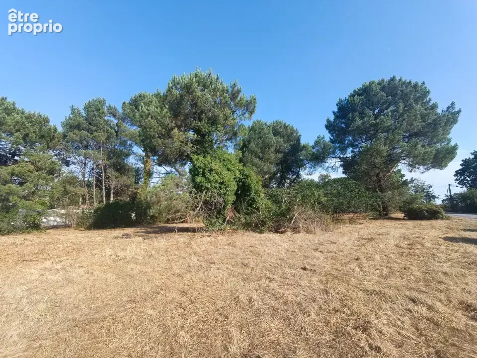 Terrain 950 m² à Martillac  - photo 2