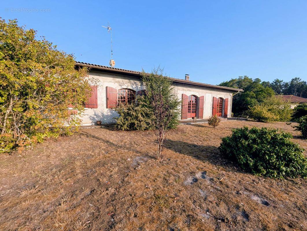 Maison à BELIN-BELIET