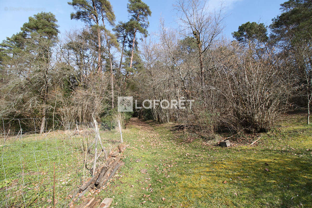 Maison à CHATEAU-L'EVEQUE