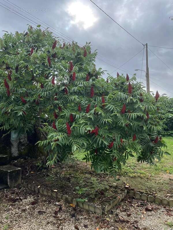 IMG7194 - Maison à ASPET