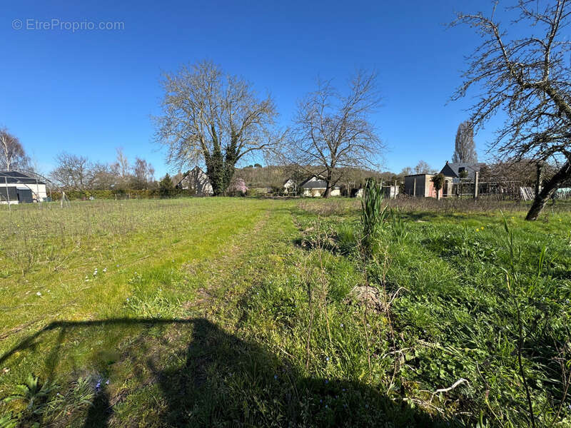 Terrain à SEICHES-SUR-LE-LOIR